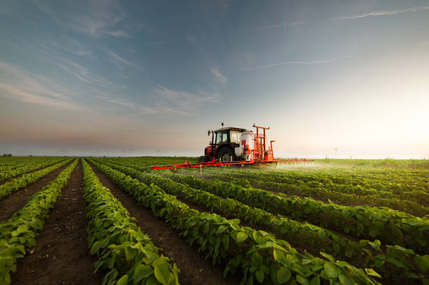Tractors Tractors